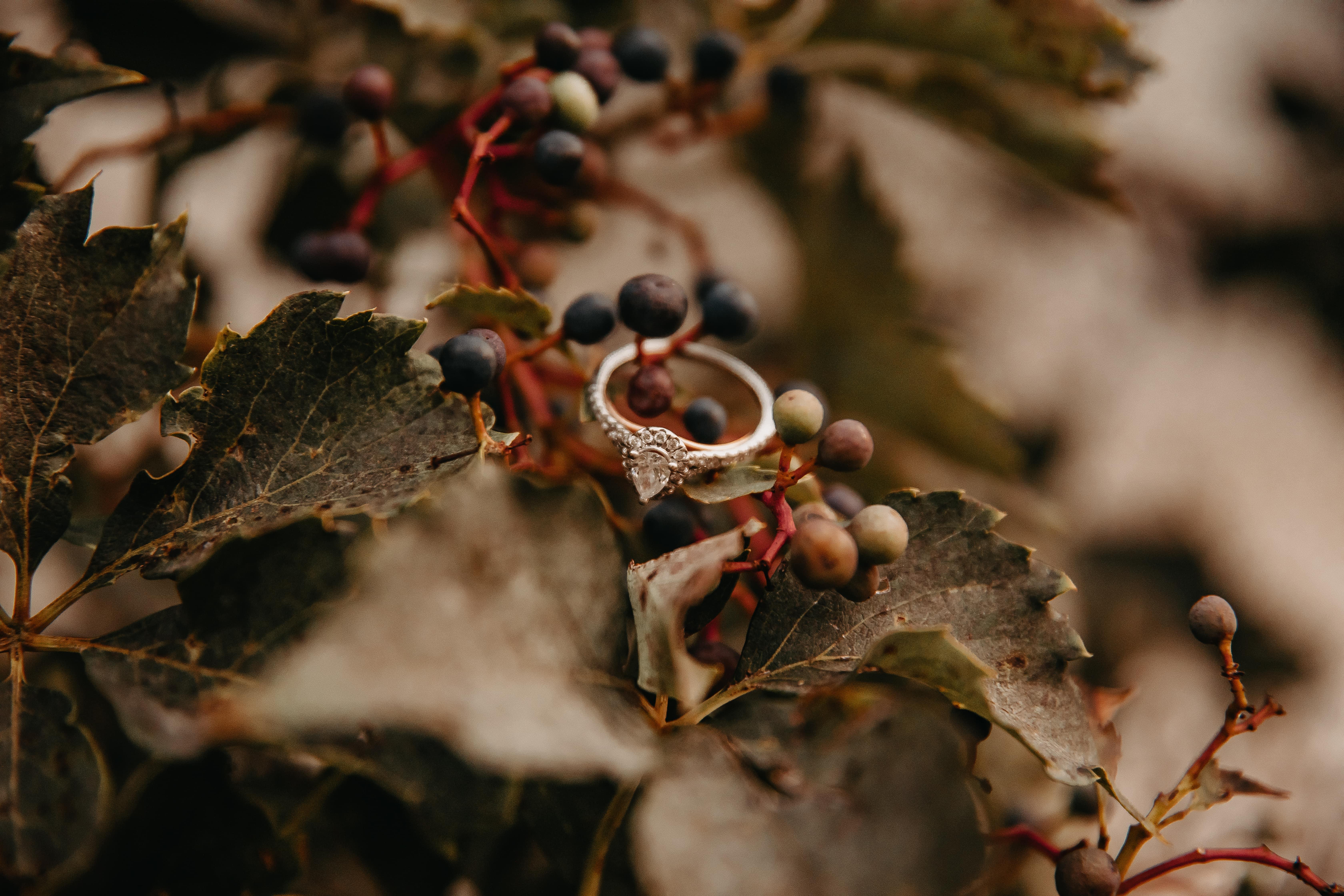 The Wedding Website of Arianna McClane and Andrew Garber