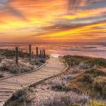 Asilomar State Beach