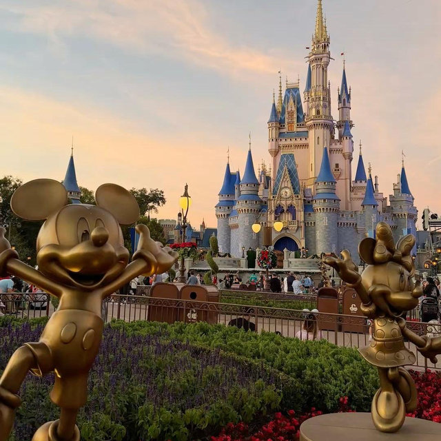 Disney World - Honeymoon Fund!!