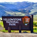 Visit Yellowstone National Park