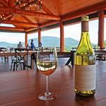 Point Lookout Vineyards