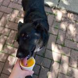 Is it hot today? Miko's Italian Ice