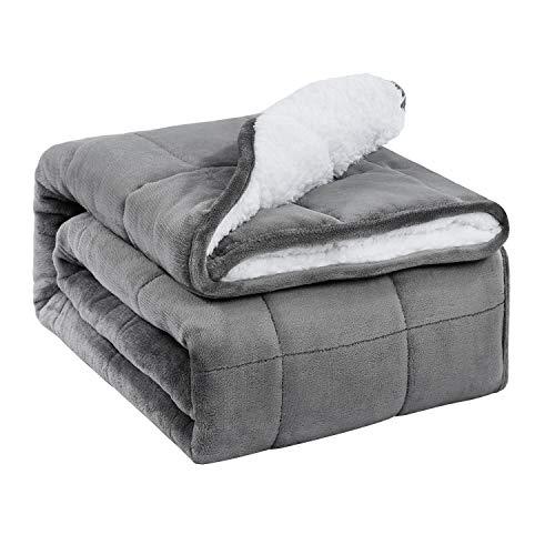 BUZIO Sherpa Fleece Weighted Blanket for Adult, 15 lbs Heavy Fuzzy Throw Blanket with Soft Plush Flannel, Dual Sided Full Size Cozy Fluffy Blanket, 60 x 80 inches, Grey