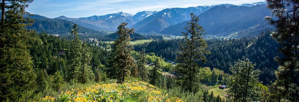 The Wedding Website of Brent  Sandifer and Jenny MacDonald