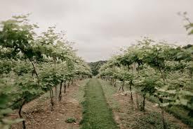 The Wedding Website of Blaire Sumner and Will Clayton