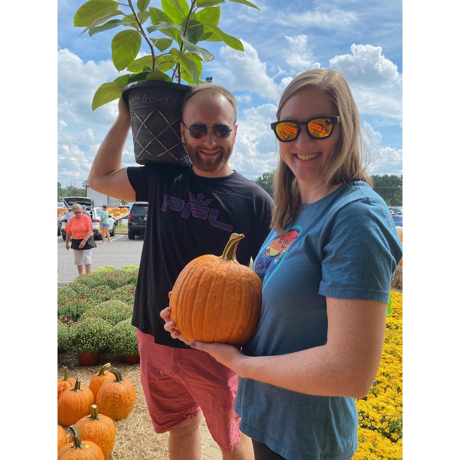 Picking out a pumpkin