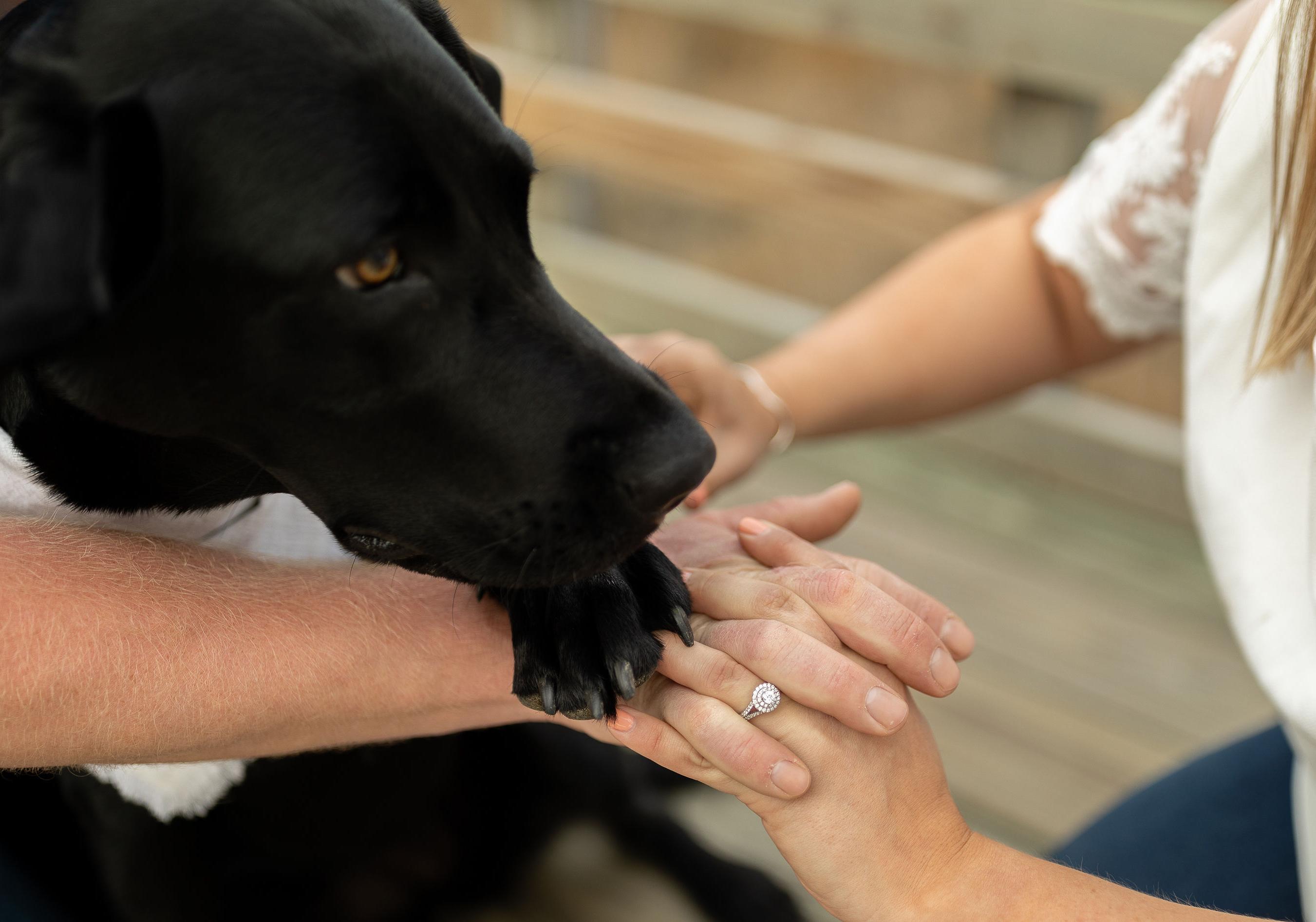 The Wedding Website of Lindsay Herr and Tucker White