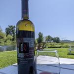 Indian Rock Vineyards