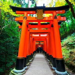 Fushimi Inari-taisha Shrine Tour