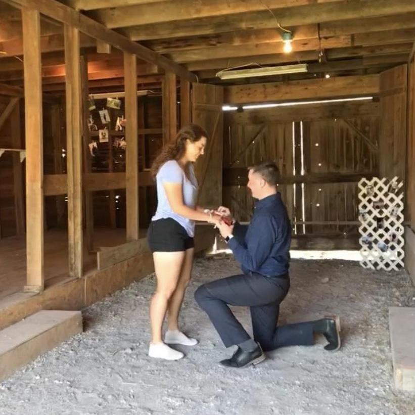 the proposal