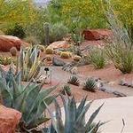 Red Hills Desert Garden