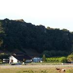 Wineries: Claiborne & Churchill Winery