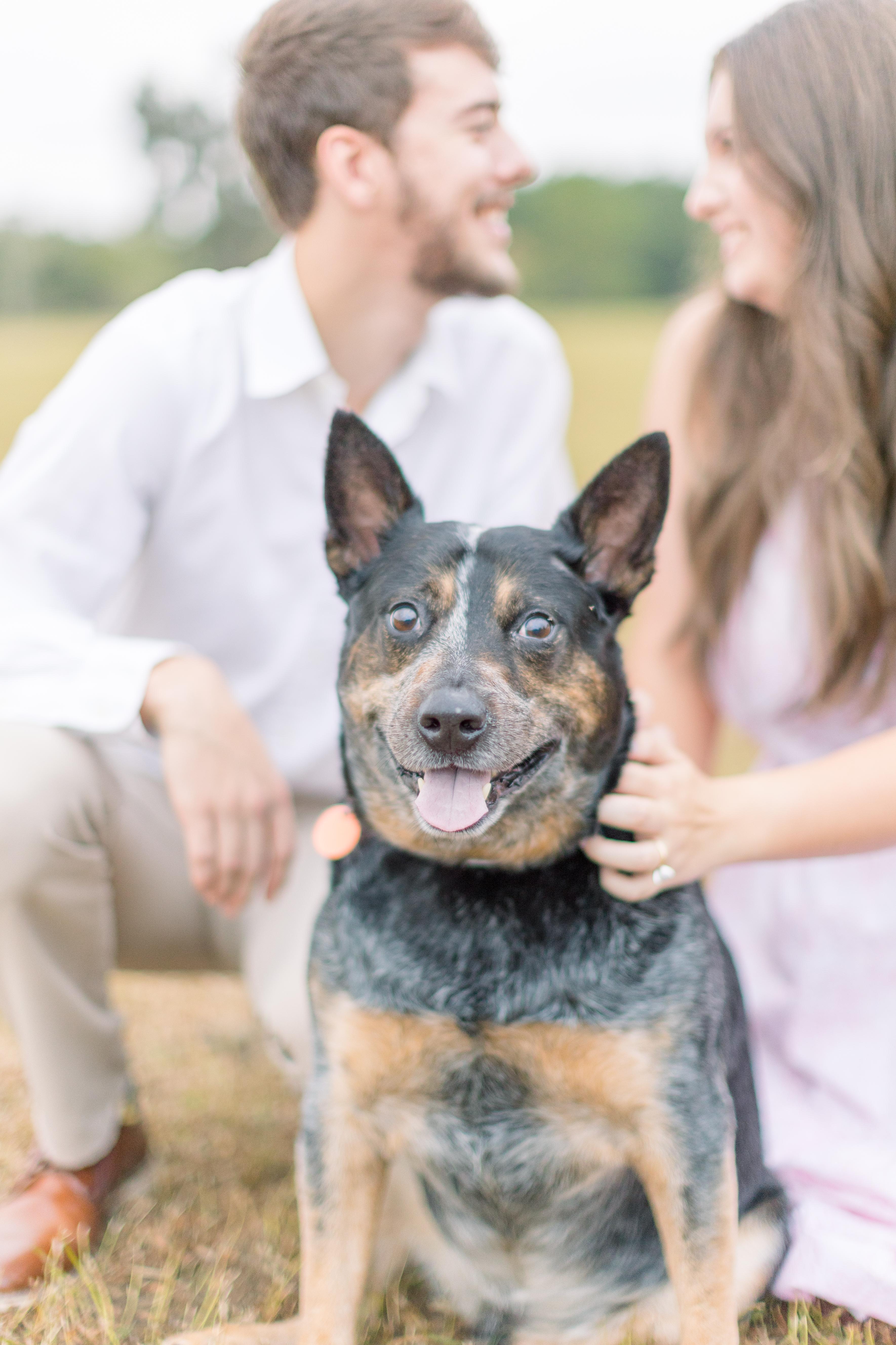 The Wedding Website of Taylor Burch and Hunter Gibson