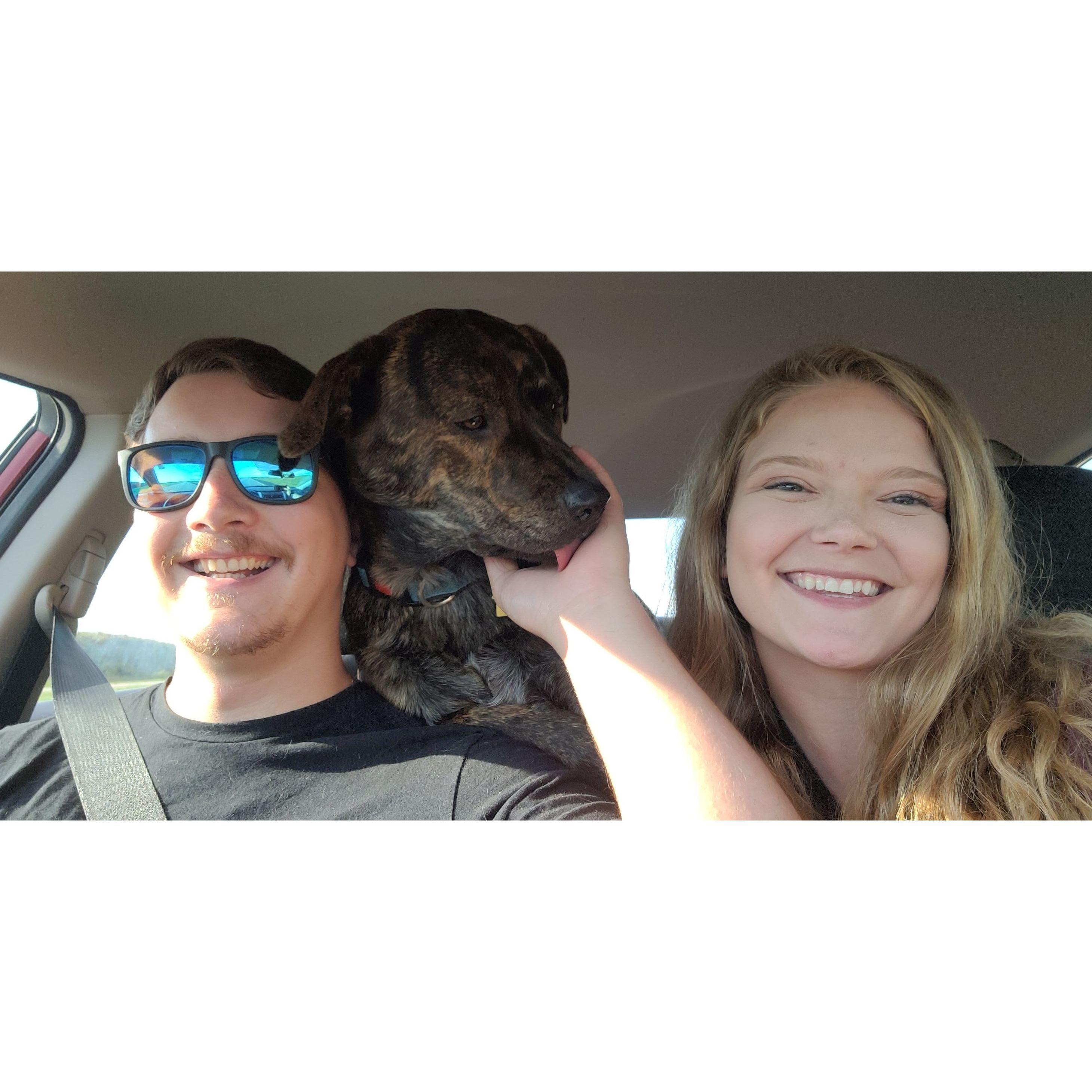 Adding our first furry family member <3