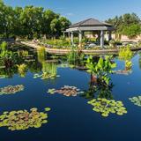 Denver Botanic Gardens