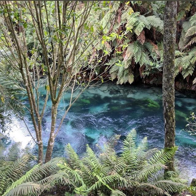 Clear water spring tour