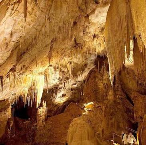Hobart Thermal Springs and Cave Tour