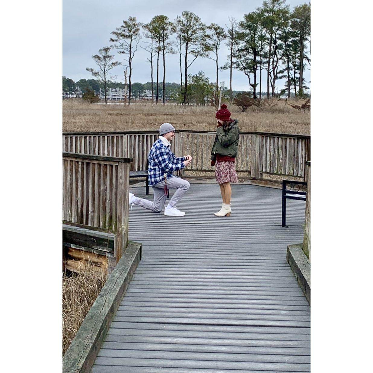 February 17th, 2024: Matt proposed at Bethany Beach Nature Center.