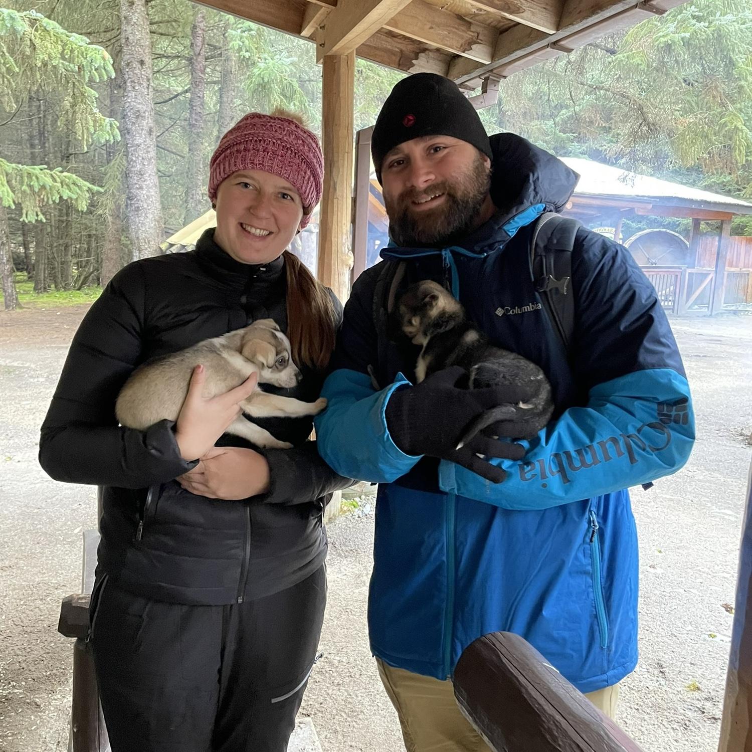 Sled dogs in training! We would have brought them all home if we could