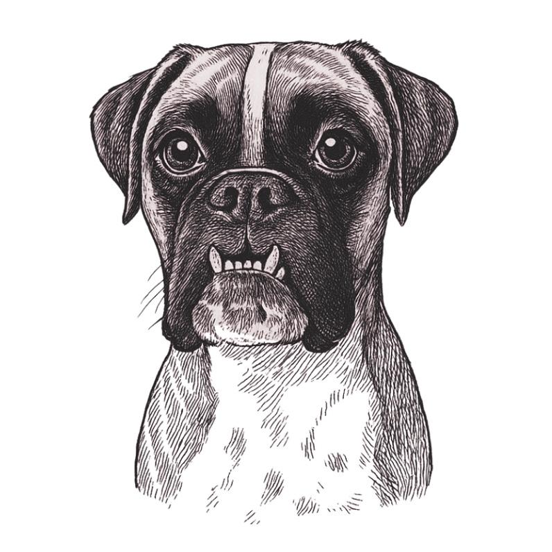 Night of Dog Boarding