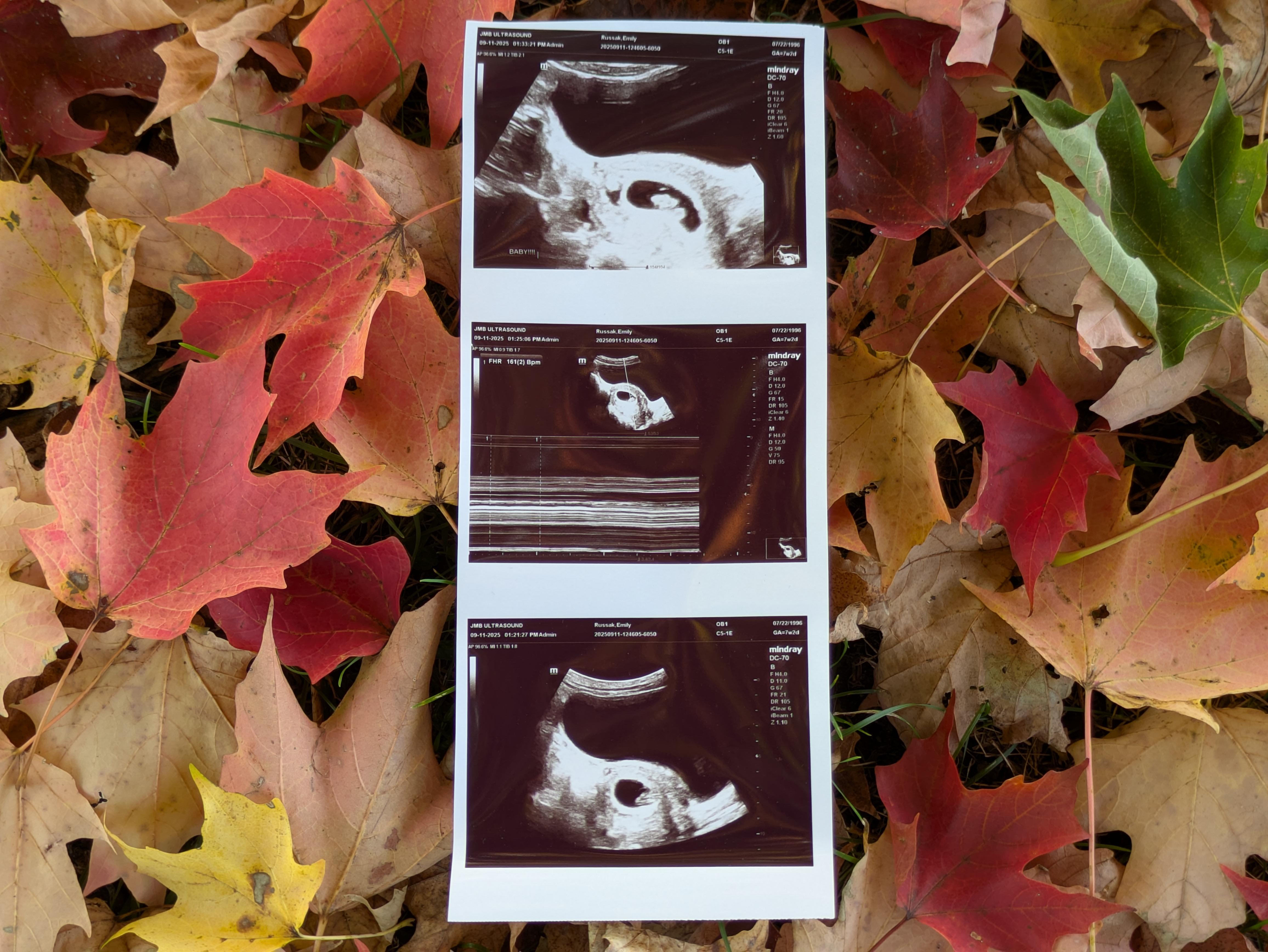 The Wedding Website of Emily Paltz and Victor Russak