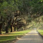 Boone Hall Plantation & Gardens