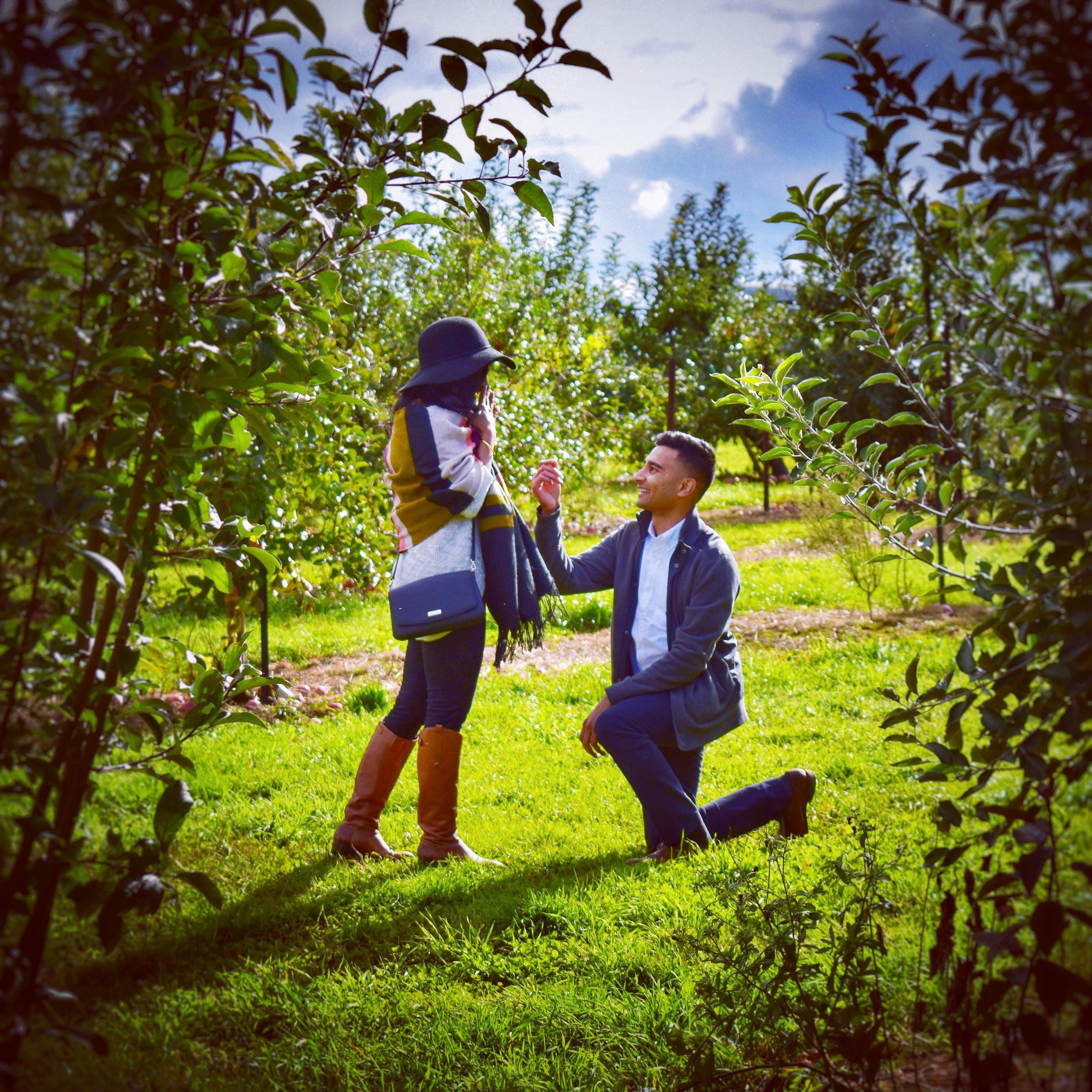 The proposal!