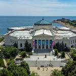 Shedd Aquarium