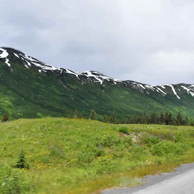 Summer 2027- Alaska Backpacking Trip
