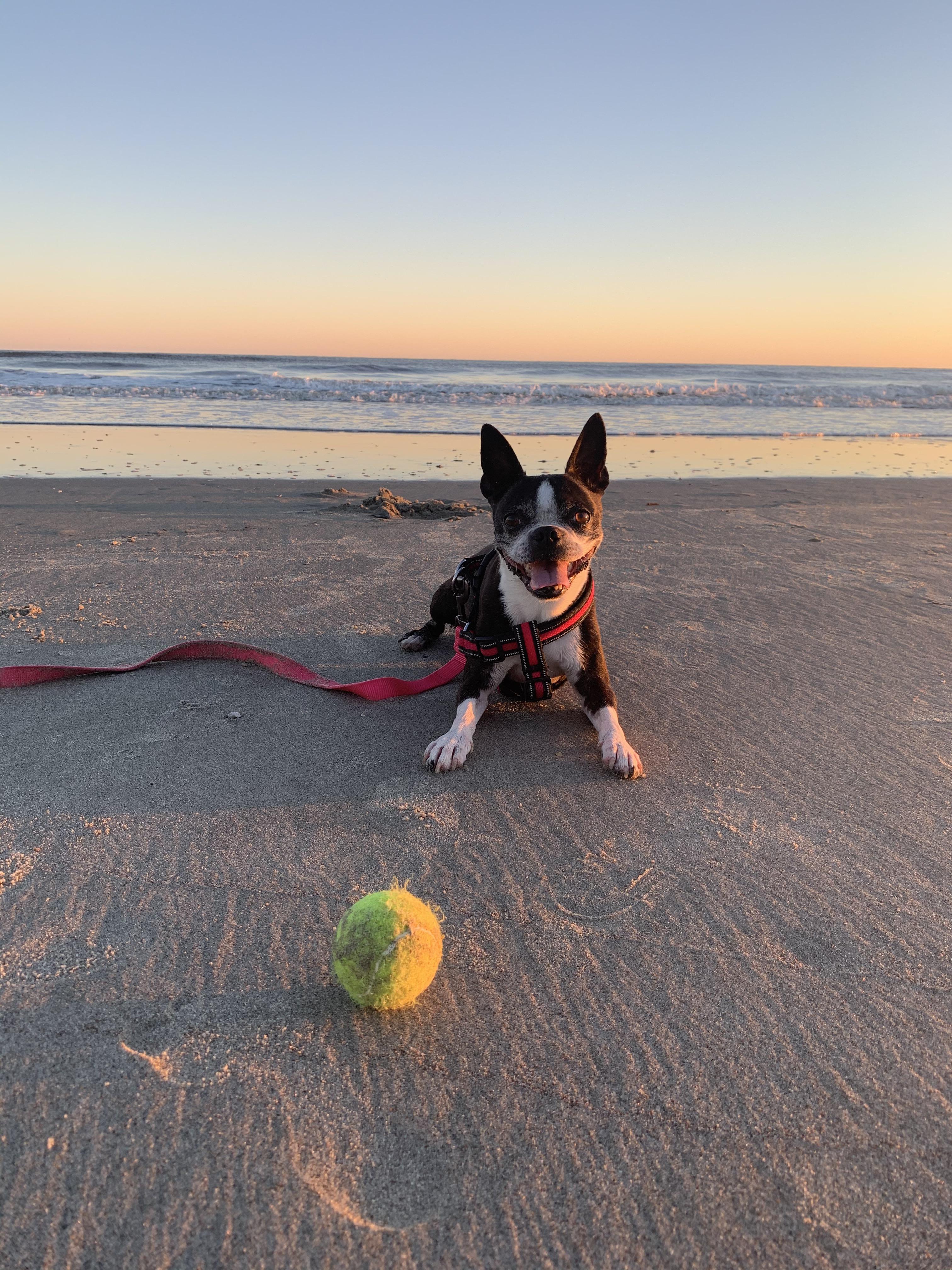 The Wedding Website of Maddy Davis and Michael Martin