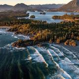 Tofino