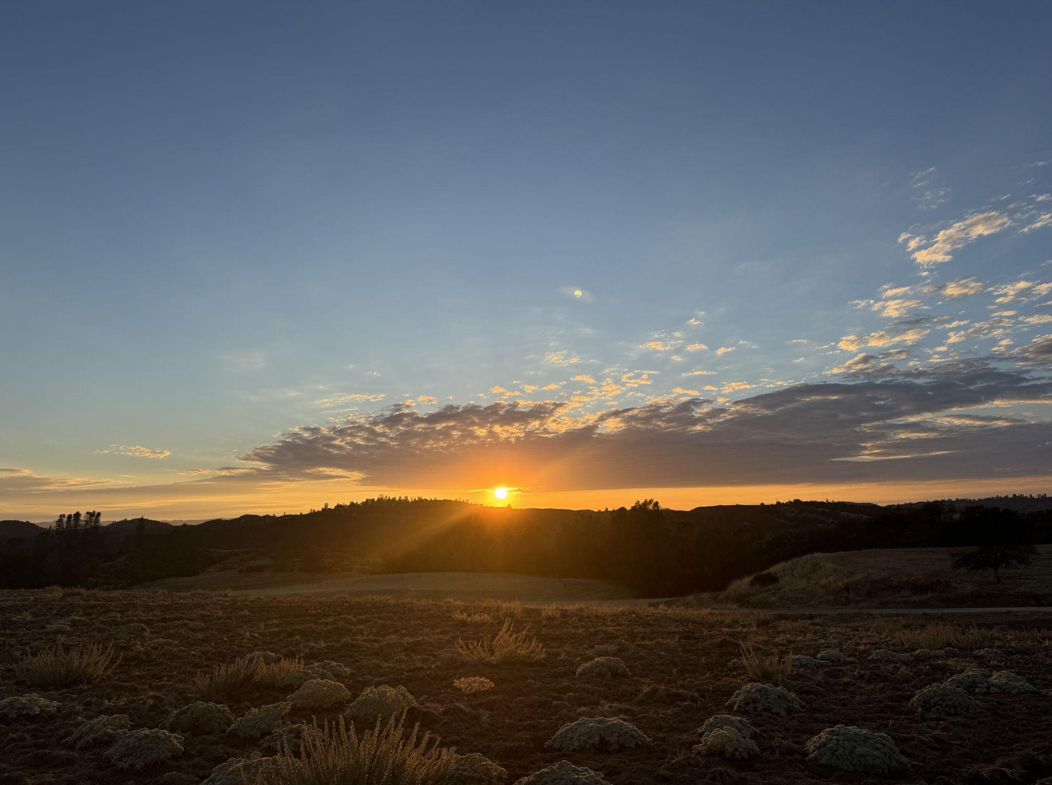 The Wedding Website of Tayler Philbrick and Dakota Towle