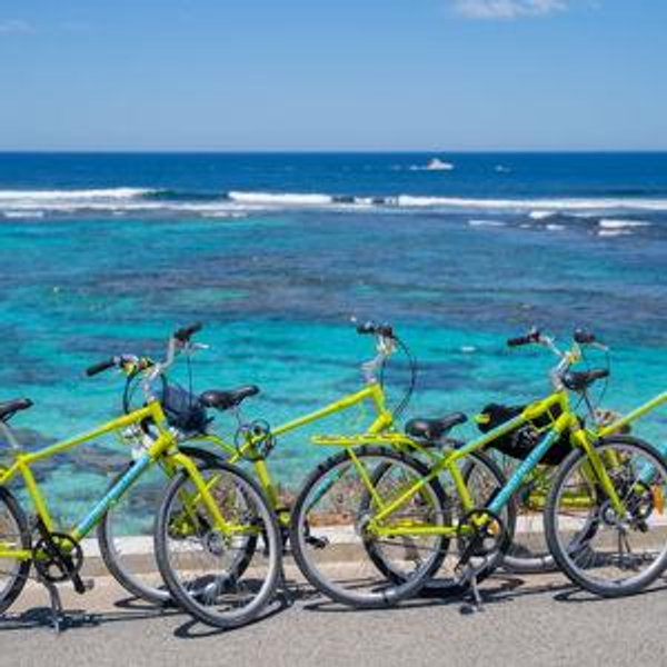 Island Bike Tour