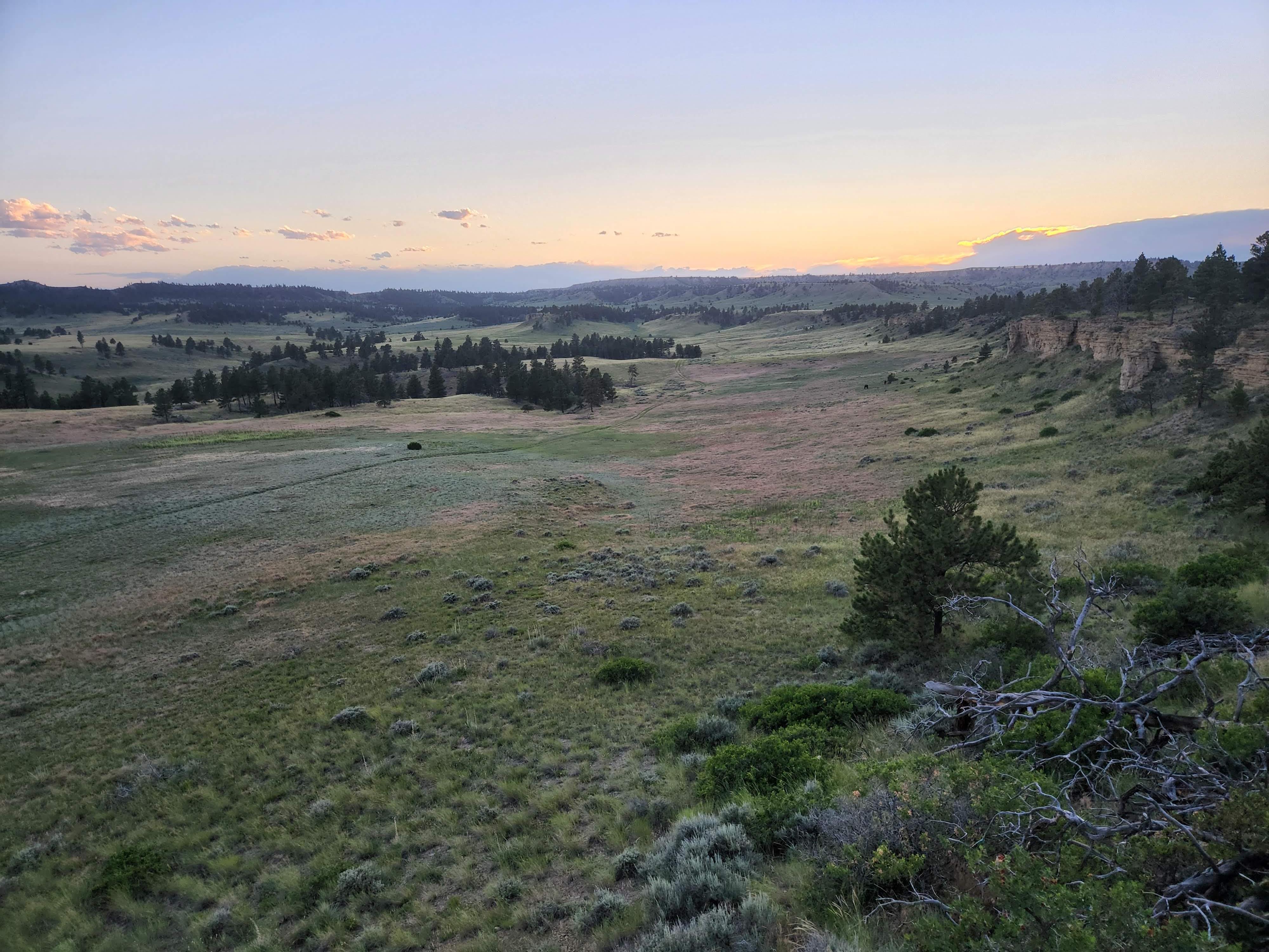 The Wedding Website of Becca DeMeyer and Ryan Noack