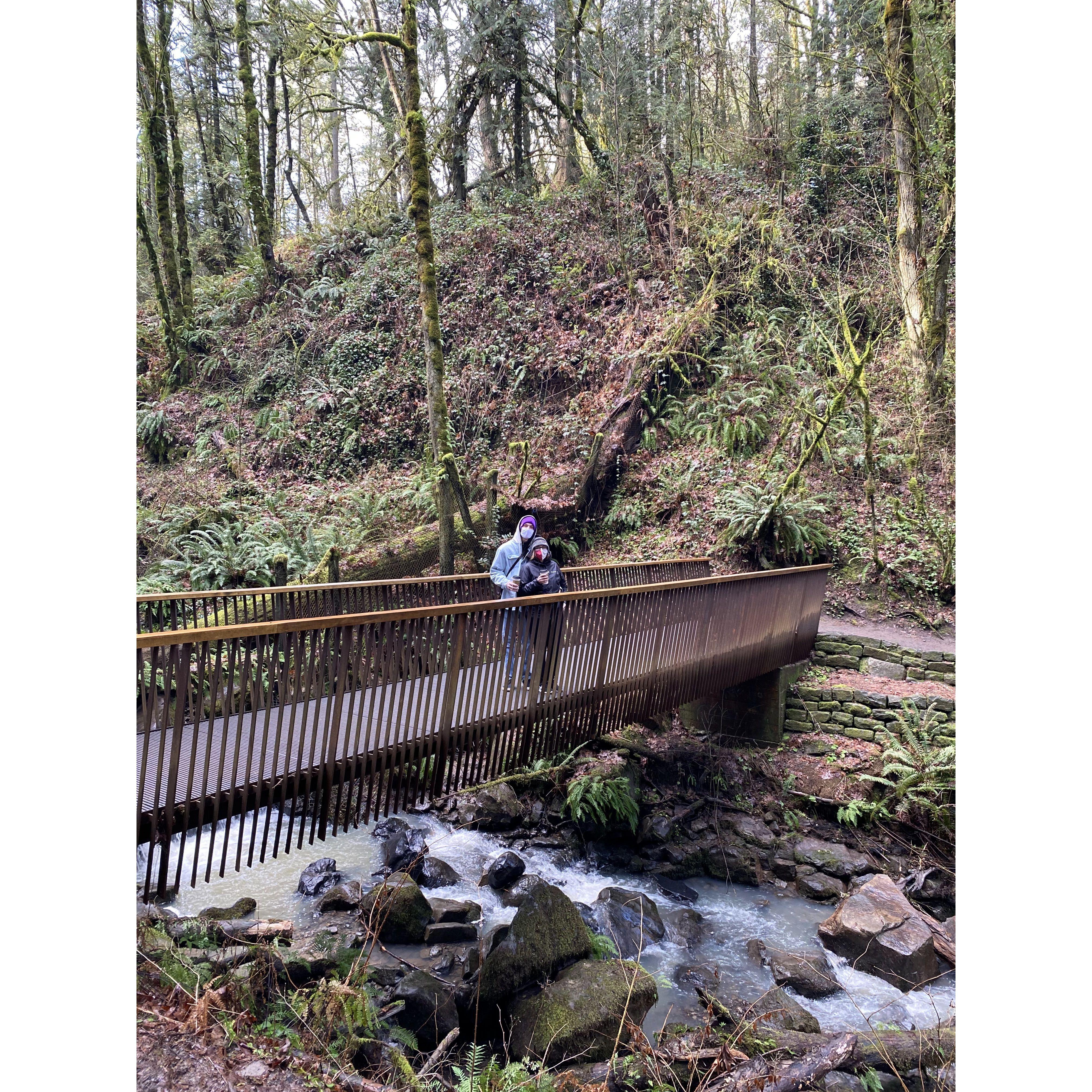 Hiking in Macleay Park In NW Portland 