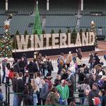 Winter Wonderland (Wrigley field)