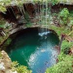 Explore local cenotes