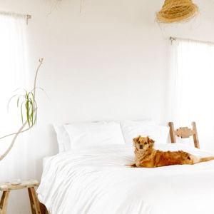 Luxe Sateen Core Sheet Set