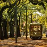 Garden District