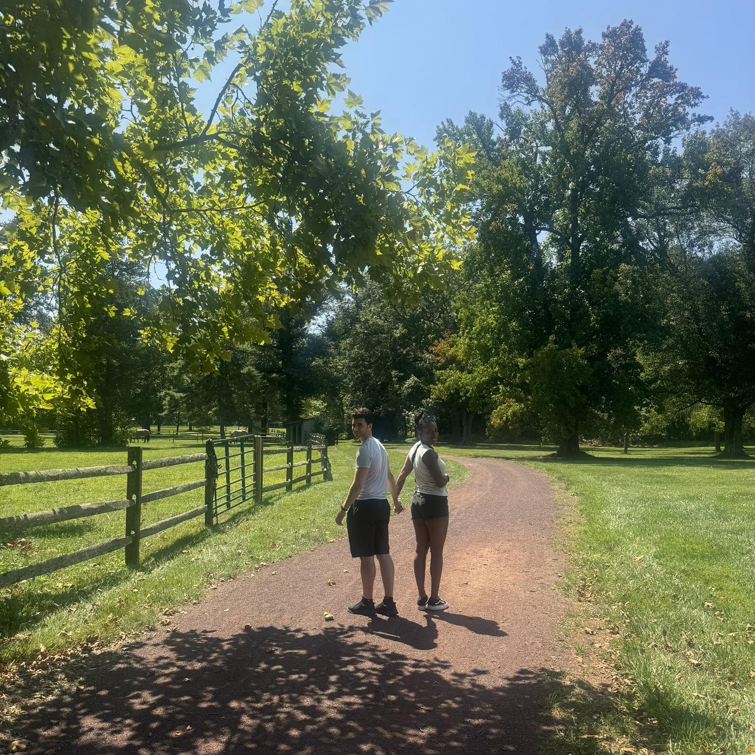 Just taking a stroll together