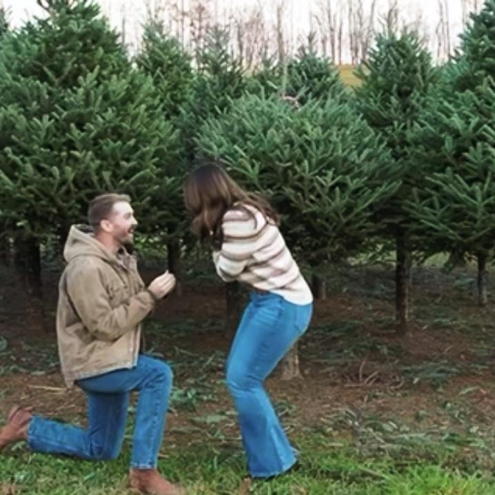 Adam surprised Alivia and proposed during their trip to NC in the middle of a Christmas tree farm!