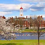Harvard University