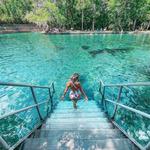 Wekiwa Springs State Park