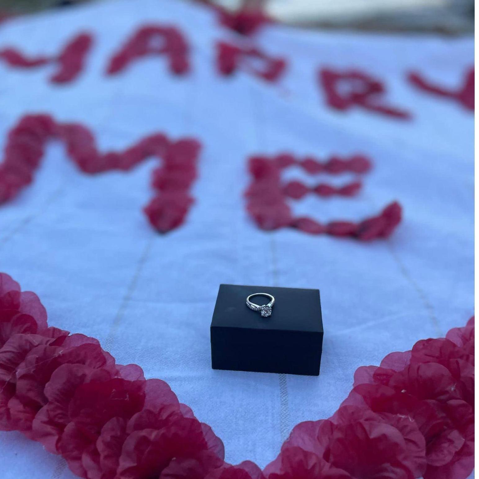 The romantic blanket set up for the proposal