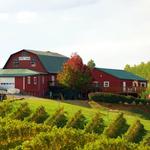 Carter Mountain Orchard and Country Store