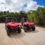 Jungle Buggy Tour from Playa del Carmen Including Cenote Swim