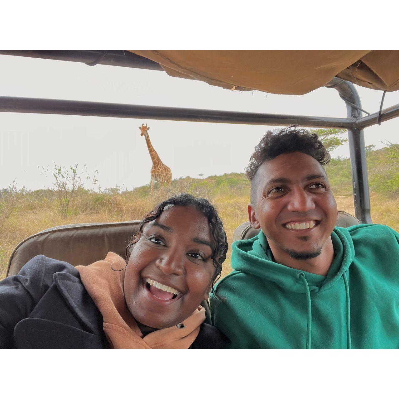 "Phezulu Safari Game Reserve"
