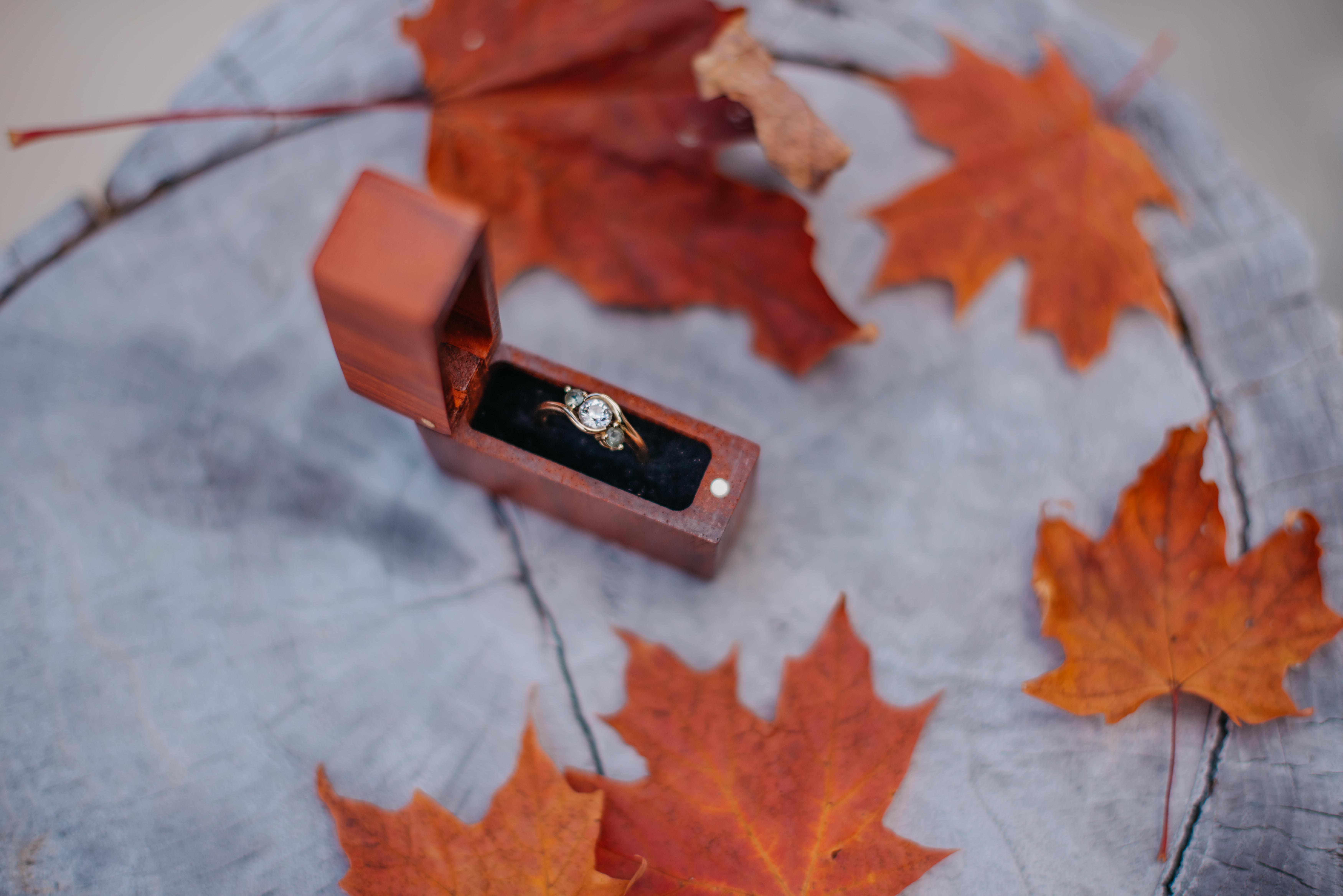 The Wedding Website of Ardelia Ann Rose and T. Reel Adams