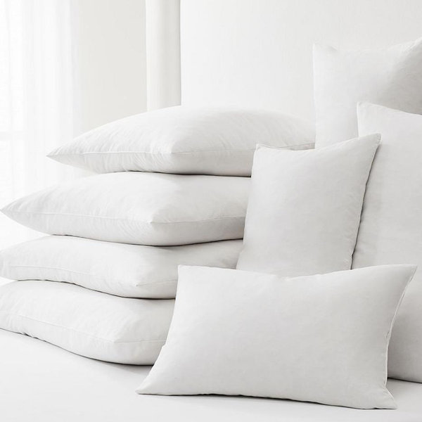 Pottery Barn Down Pillow inserts 20”x36”