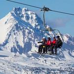 Shred the gnar!